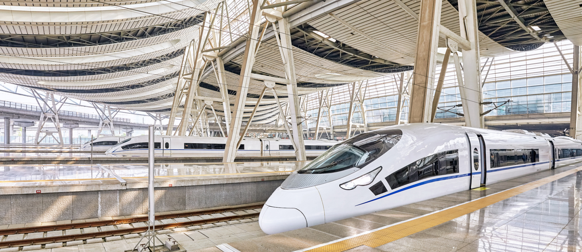 Moderner Hochgeschwindigkeitszug steht in einem überdachten Bahnhof mit mehreren Gleisen